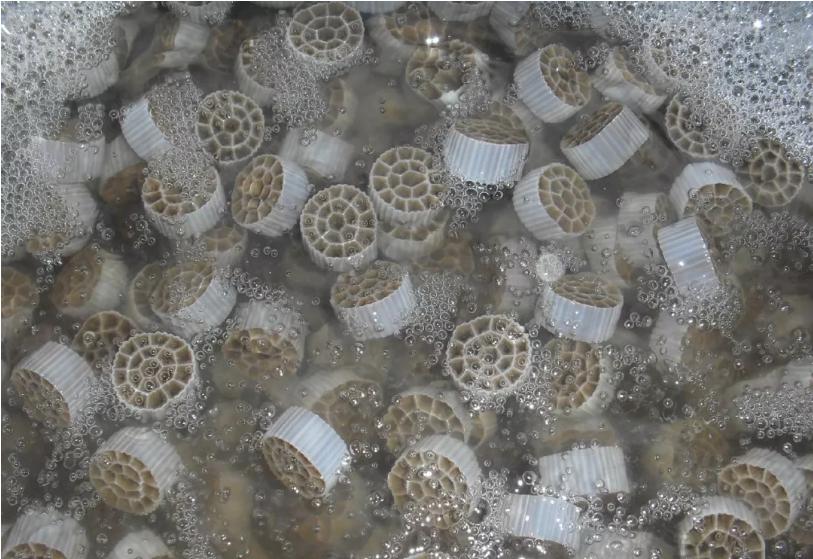 MBBR的工藝原理、及特點